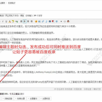 主动推送到百度SEO 7.6